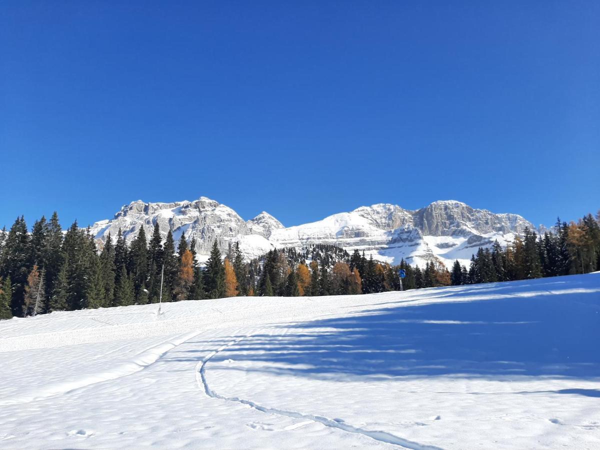 Mdc Apartment Madonna di Campiglio Exterior foto